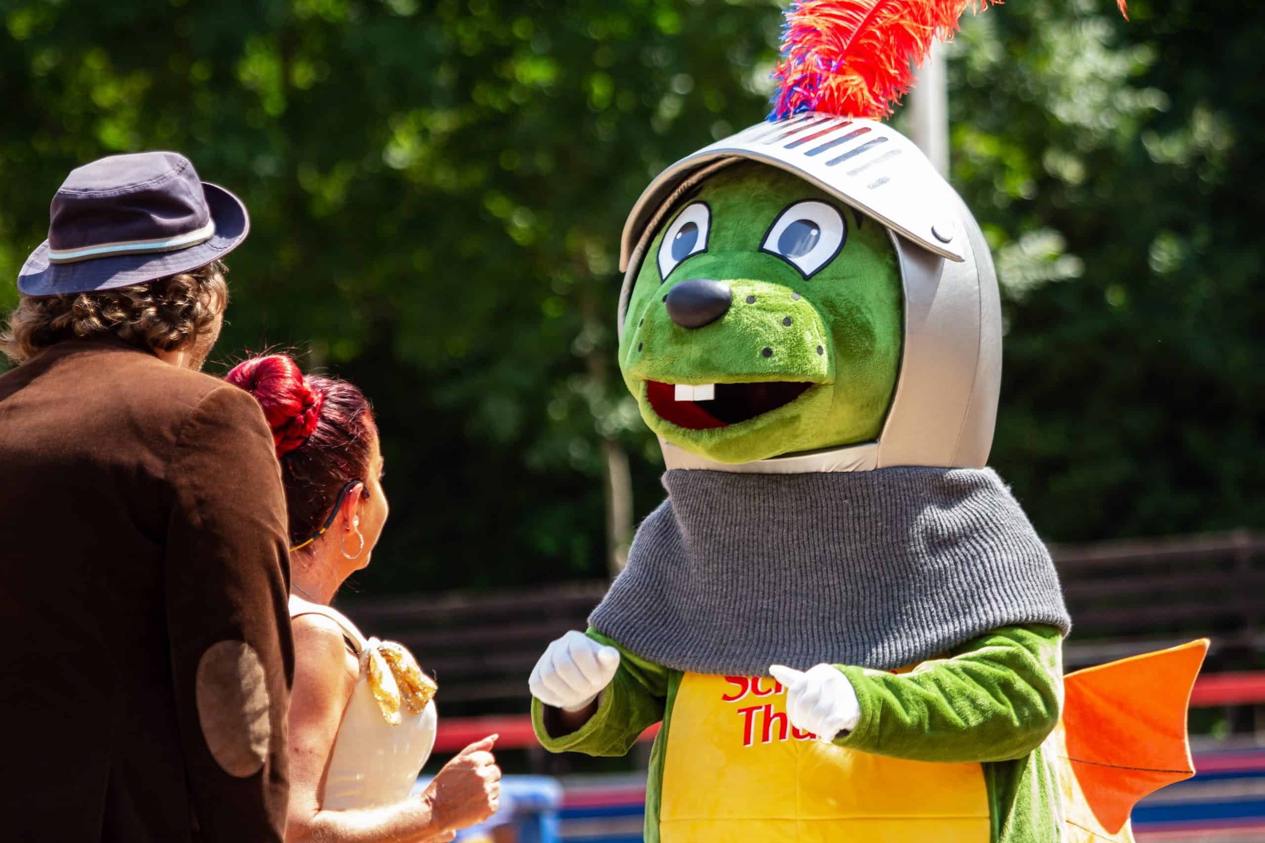 Shows und Attraktionen